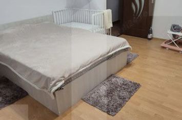 Apartament 2 camere de vanzare DAMBOVITA - Timis anunturi imobiliare Timis