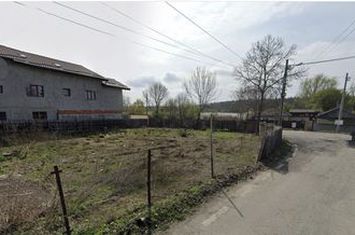 Teren de vanzare BRANESTI - Bucuresti anunturi imobiliare Bucuresti