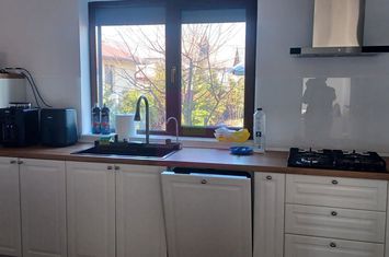 Săbăreni, casă nouă tip parter, cu pod mansardabil anunturi imobiliare Giurgiu