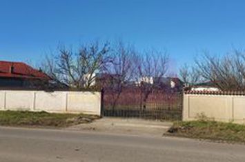 Săbăreni, teren construibil 2040 mp, stradal cu utilităti anunturi imobiliare Giurgiu