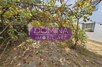 Vilă - 6 camere de vanzare DANESTI - Gorj anunturi imobiliare Gorj