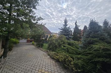 Casă - 4 camere de vanzare LUCIAN BLAGA - Satu Mare anunturi imobiliare Satu Mare