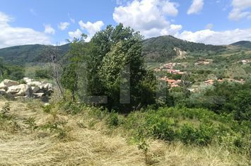 Casă - 3 camere de vanzare AMPOITA - Alba anunturi imobiliare Alba