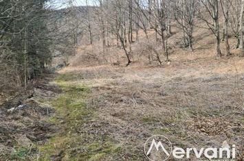 Teren Intravilan de vanzare SINAIA - Prahova anunturi imobiliare Prahova