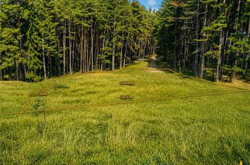 Teren Intravilan de vanzare SACELE - Brasov anunturi imobiliare Brasov
