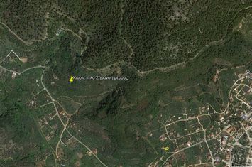 Teren construibil 10889.86 mp în Chrisi Ammoudia anunturi imobiliare Grecia