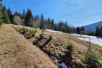 Teren de vânzare în Predeal (zona Malul Ursului) anunturi imobiliare Brasov