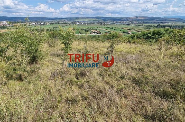 Teren Extravilan de vanzare CENTRAL - Alba anunturi imobiliare Alba