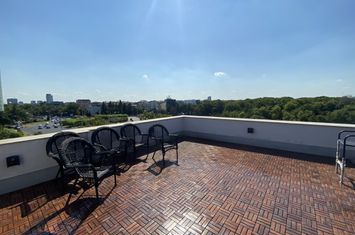 Penthouse with a generous terrace, with a superb view of Herastrau Park anunturi imobiliare Bucuresti