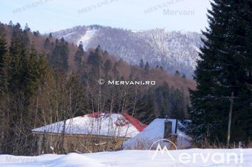 Teren Intravilan de vanzare PREDEAL - Brasov anunturi imobiliare Brasov