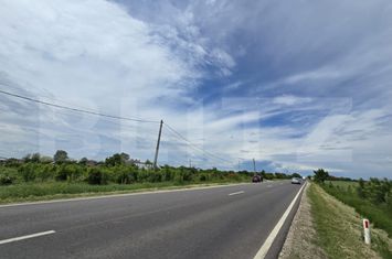 Teren de vanzare COSTESTII DIN DEAL - Dambovita anunturi imobiliare Dambovita