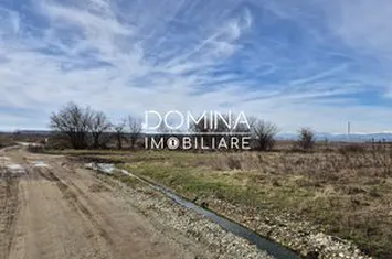 Teren de vanzare DANESTI - Gorj anunturi imobiliare Gorj