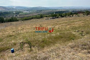 Teren Extravilan de vanzare BARABANT - Alba anunturi imobiliare Alba