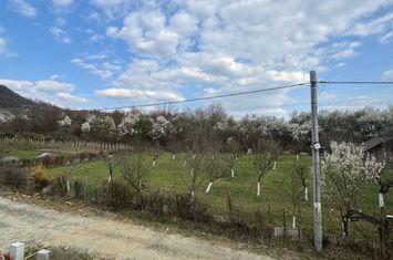 Vilă - 4 camere de vanzare TAUTII-MAGHERAUS - Maramures anunturi imobiliare Maramures