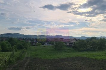 Teren Intravilan de vanzare MUSCEL - Prahova anunturi imobiliare Prahova