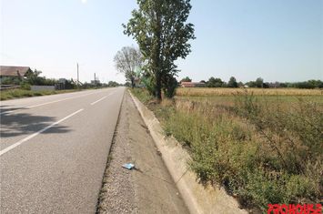 Teren Intravilan de vanzare CENTRAL - Bacau anunturi imobiliare Bacau