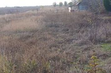 Frumusani -Vanzare teren  intravilan anunturi imobiliare Calarasi