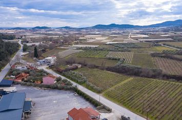 Teren construibil 2.250 mp — Eleftheres, Kavala anunturi imobiliare Grecia