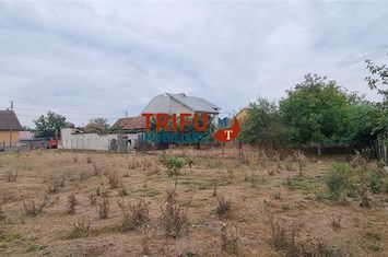 Teren Intravilan de vanzare BARABANT - Alba anunturi imobiliare Alba