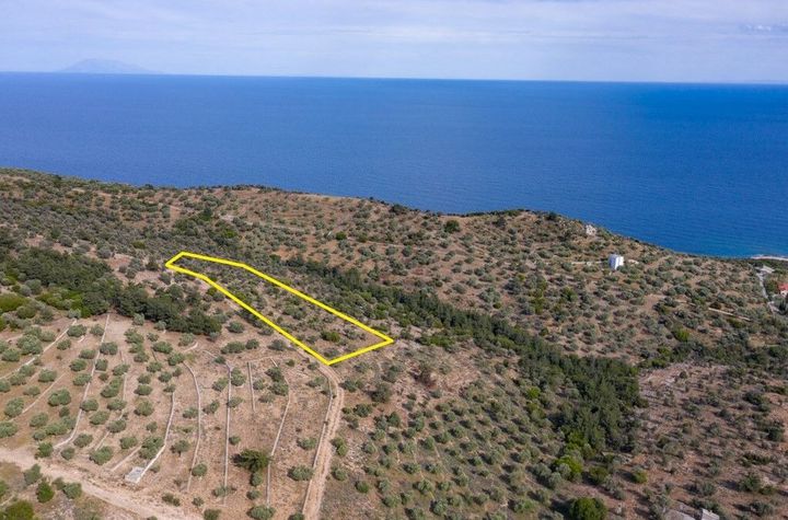 Teren construibil 10.610 mp în Astrida, Thassos anunturi imobiliare Grecia
