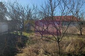 Săbăreni, teren construibil 2040 mp, stradal cu utilităti anunturi imobiliare Giurgiu