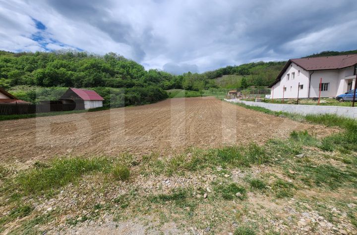 Teren de vanzare VINTU DE JOS - Alba anunturi imobiliare Alba