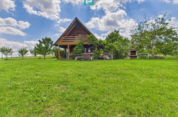 Teren cu baltă- oportunități multiple la Fibiș anunturi imobiliare Timis