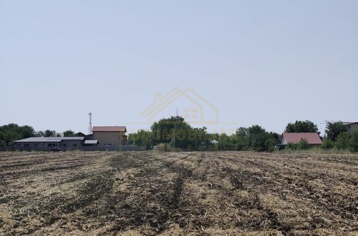 Teren Intravilan intrare com. Frumusani, acces direct sos Oltenitei in 200M anunturi imobiliare Calarasi