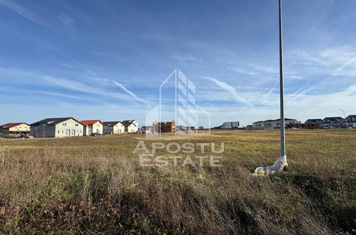 Parcela de 600 mp, in Mosnita Noua anunturi imobiliare Timis