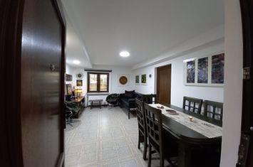 Apartament central la demisol înalt anunturi imobiliare Timis
