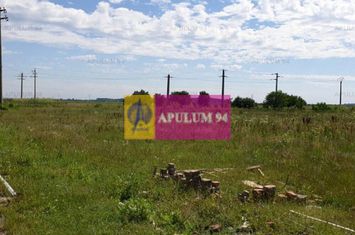 Teren aproape de Bucuresti langa padure anunturi imobiliare Bucuresti