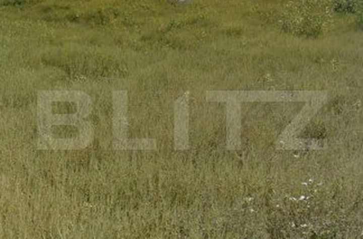 Teren de vanzare GHIRODA - Timis anunturi imobiliare Timis