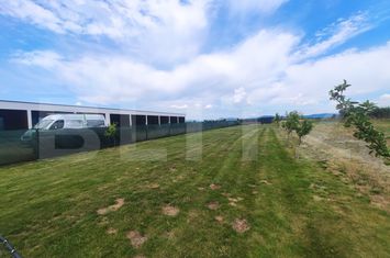 Teren de vanzare SATU MARE - Satu Mare anunturi imobiliare Satu Mare