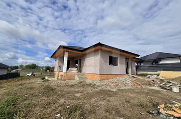 Casă - 3 camere de vanzare LETCANI - Iasi anunturi imobiliare Iasi