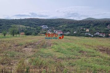 Teren Intravilan de vanzare CENTRAL - Alba anunturi imobiliare Alba