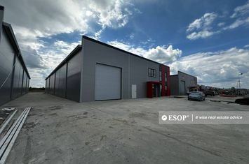 Spațiu industrial de vanzare CHIAJNA - Bucuresti anunturi imobiliare Bucuresti