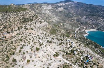 Teren 22000 mp în Moni Archaggelou, Thassos anunturi imobiliare Grecia