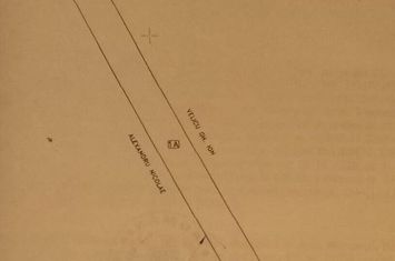 Teren 7063 mp extravilan Frumusani anunturi imobiliare Calarasi