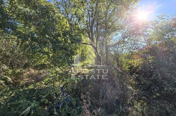 Teren Intravilan Cuied 3260 mp anunturi imobiliare Arad