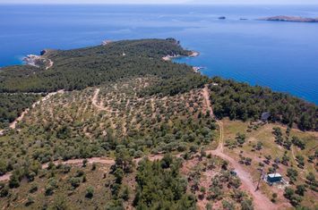 Teren construibil 5.107,70 mp, Astrida (Thassos) anunturi imobiliare Grecia