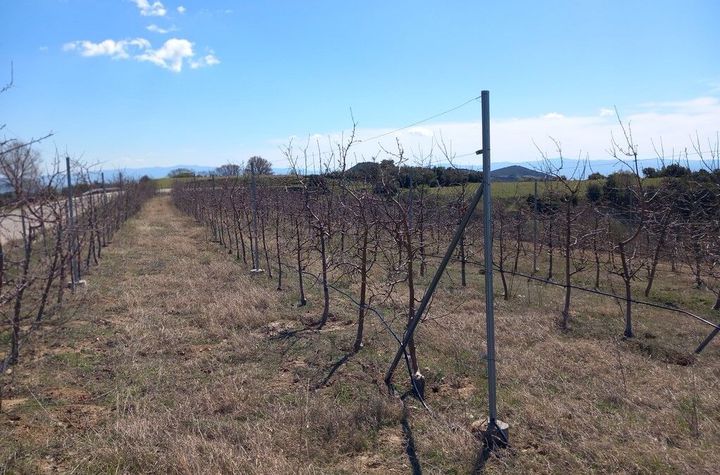 Teren agricol 2.614 mp, drumul provincial Serres - Xirotopos anunturi imobiliare Grecia