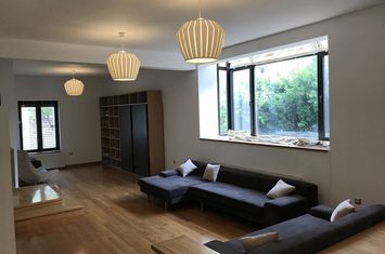 Vila cu teren generos, zona Iancu Nicolae anunturi imobiliare Bucuresti
