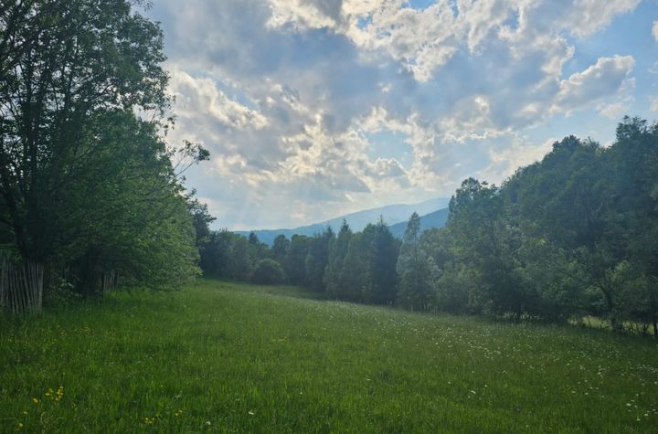 Teren de vanzare VALEA DOFTANEI - Prahova anunturi imobiliare Prahova