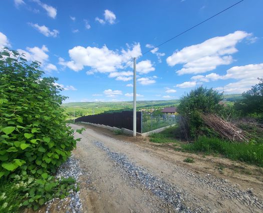 Teren Barnova, 900 mp