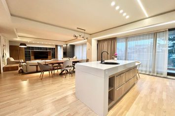 Apartament de lux | 5 camere | terasa | 2 locuri parcare | Aviatorilor anunturi imobiliare Bucuresti