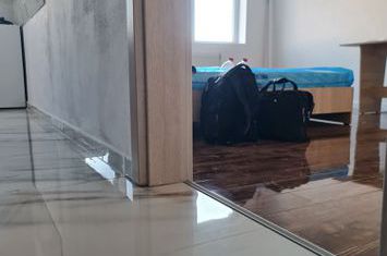 Garsonieră de vanzare COMPLEX STUDENTESC - Timis anunturi imobiliare Timis