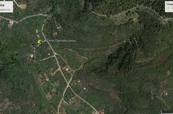 Teren construibil 6.596 mp în Chrisi Ammoudia, Thassos anunturi imobiliare Grecia