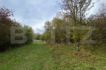 Teren de vanzare BISTRITA - Bistrita-Nasaud anunturi imobiliare Bistrita-Nasaud