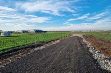 DN4 Popești -Frumușani -  Vânzare teren 500 mp anunturi imobiliare Bucuresti