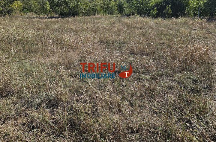 Teren Intravilan de vanzare CETATE - Alba anunturi imobiliare Alba